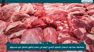 «مشهد صادم» أسعار اللحوم البلدي اليوم في مصر ترتفع بشكل غير مسبوق